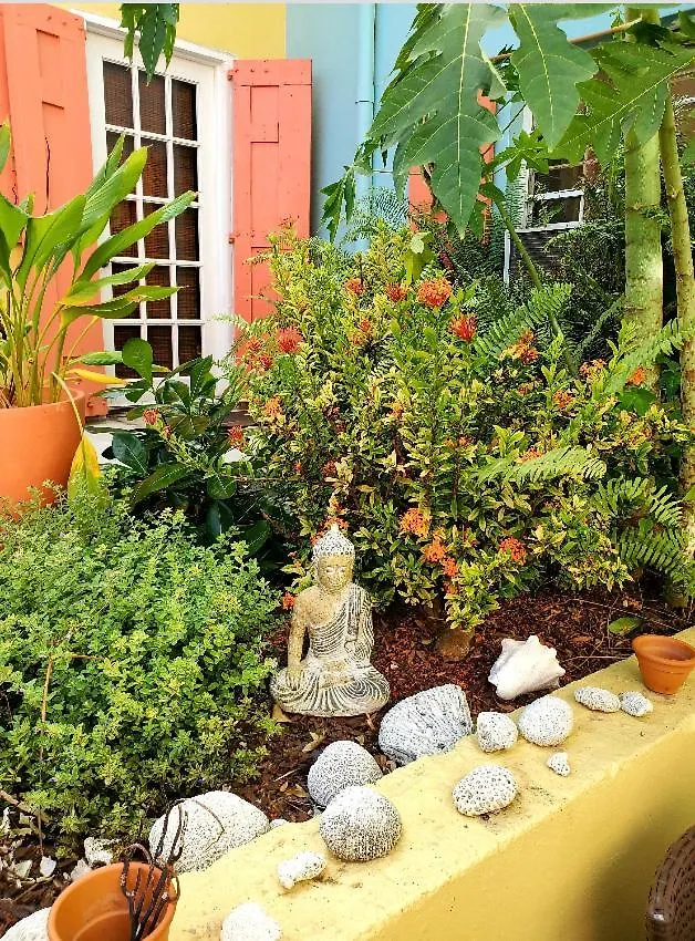 Crown Lotus Apartment Christiansted 0*,  United States Virgin Islands